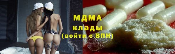 шишки Арсеньев