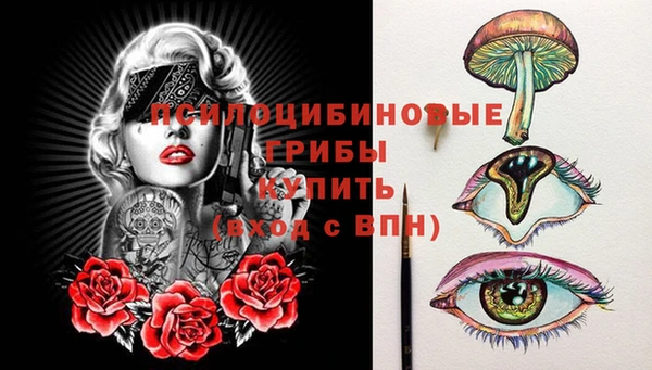 шишки Арсеньев