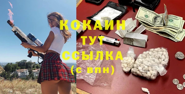 шишки Арсеньев
