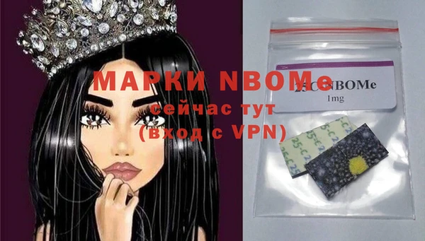 шишки Арсеньев