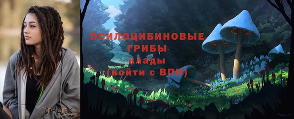 шишки Арсеньев