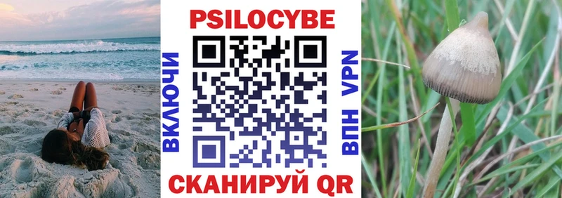 Галлюциногенные грибы мухоморы  даркнет сайт  hydra как зайти  Узловая 